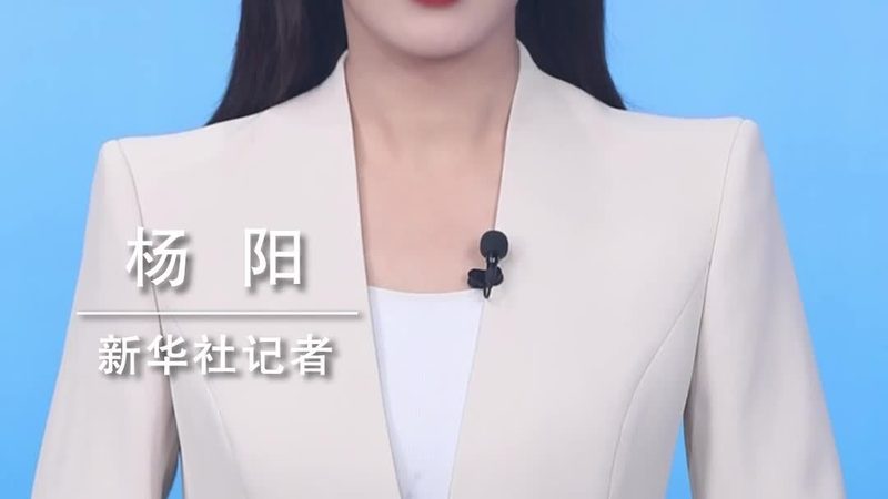 数字化改造：企业升级的“破茧成蝶